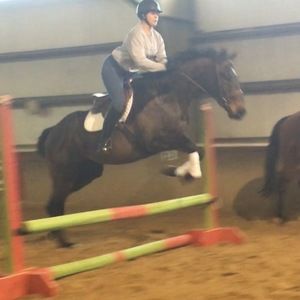 Meet your Posher, Hannah